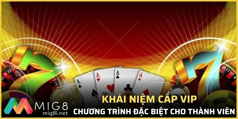 Cấp VIP được hiểu là gì?