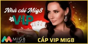 cấp vip tại mig8