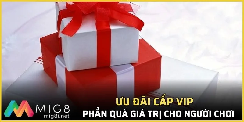 Đặc quyền riêng dành cho VIP