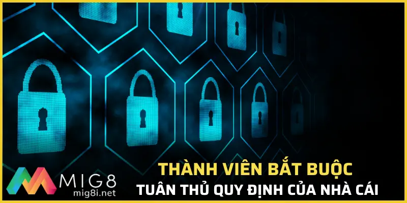 Thành viên bắt buộc tuân thủ quy định của nhà cái