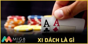 xì dách là gì